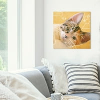 Wynwood Stüdyo Hayvanlar Duvar Tuval Sanat Baskı 'Karalama Cat' Kediler ve Kitties-Sarı, Altın