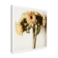 Michael Harrison tarafından marka Güzel Sanatlar 'Çiçek Ayçiçeği Beyaz Yumuşak' Tuval Sanatı