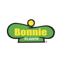Organik Bonnie'nin Yeşil Dolmalık Biberi