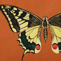 Sadece Papatya Kare Nadir Swallowtail Polyester Kapalı Yastık, Mükemmel Turuncu Adet 1