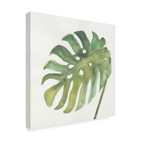 Ticari Marka Güzel Sanatlar 'Tropical Palm IV' Chris Paschke'den Tuval Sanatı
