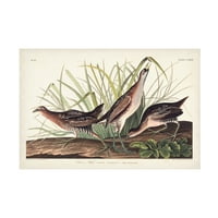John James Audubon 'Demiryolu' Tuval Sanatı