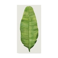 Marka Güzel Sanatlar 'Tropikal Esinti Yaprakları IV' Naomi mccavitt'in Tuval Sanatı