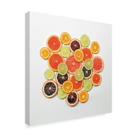 Felicity Bradley'den 'Sunny Citrus II Crop' Marka Güzel Sanatlar Tuval Sanatı