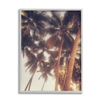 Stupell Indtries Güneşte Ağartılmış Palmiye Ağacı Üstleri Vintage Yaz Gökyüzü, 20, Tasarım Acosta