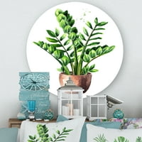 Designart 'Beyaz Üzerine Yeşil Yapraklı Zamioculcas Tropikal Bitki' Geleneksel Daire Metal Duvar Sanatı - 23'lü Disk