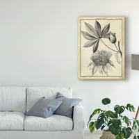 Ticari Marka Güzel Sanatlar 'Passiflora II' Sellier'den Tuval Sanatı