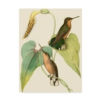 Vision Studio'dan 'Delicate Hummingbird II' Marka Güzel Sanatlar Tuval Sanatı