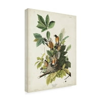 John James Audubon ' Robin' Tuval Sanatı